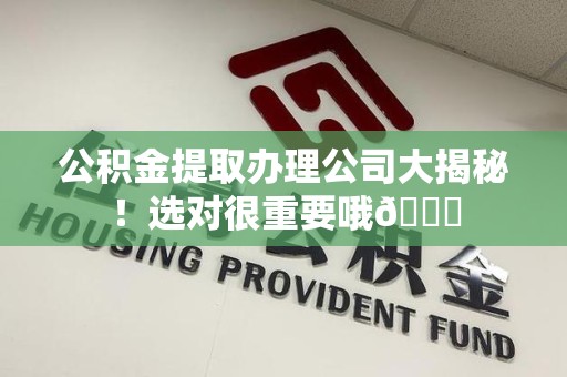 建宁公积金提取办理公司大揭秘！选对很重要哦😎